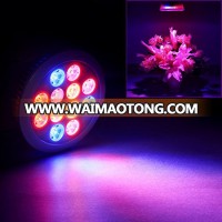 USA Stock LED Plant Grow Light LED Bulb Light LED Grow Light Full Spectrum For Indoor Plants Greenhouse And Hydroponic Growing