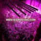 CTLite Hydroponic system led cob bar grow light full spectrum 480w 2000w led grow light products for green vegetables