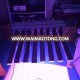 CTLite Grow Light Manufacturer 450nm 660nm Commercial LED COB Grow Lights Bar for greenhouse