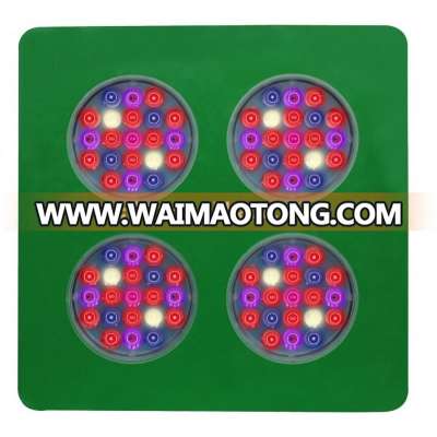 1000 watt induction grow light kit 1.2m led plant 36watt ip68 dc12v led red blue grow strip bulb lamp