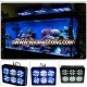 CIDLY 6 live coral led lights cidly reef led full spectrum